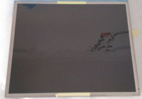 Original CLAA170EA19 CPT Screen Panel 17" 1280*1024 CLAA170EA19 LCD Display